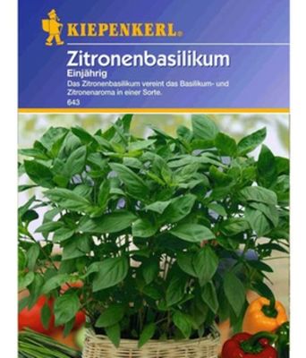 Zitronen-Basilikum von BALDUR-Garten auf blumen.de