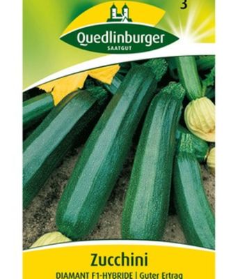 Zucchini ´Diamant´ F1 von BALDUR-Garten auf blumen.de
