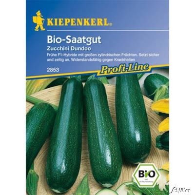 Zucchini  von Garten Schlüter auf blumen.de