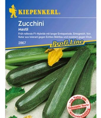 Zucchini ´Mastil´ von BALDUR-Garten auf blumen.de