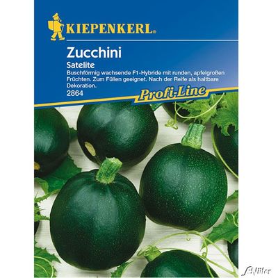 Zucchini 