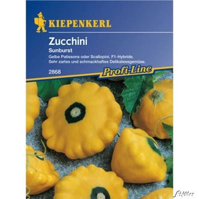 Zucchini ´Squash Sunburst´ von Garten Schlüter auf blumen.de