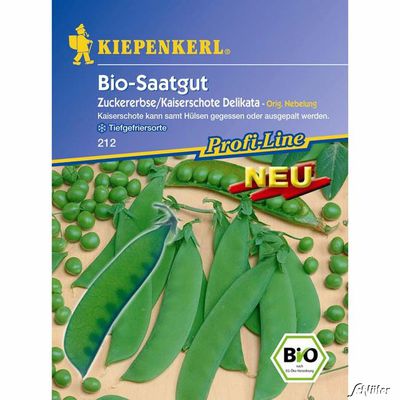 Zuckererbse ´Delikata´ (Bio-Saatgut) von Garten Schlüter auf blumen.de