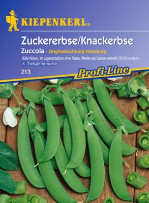 Zuckererbse 'Zuccola' (Pisum sativum) von Gartengruen-24 auf blumen.de