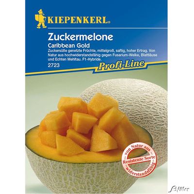 Zuckermelone ´Carribean Gold´ F1 von Garten Schlüter auf blumen.de