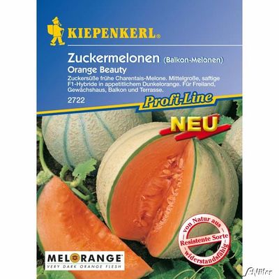 Zuckermelone ´Orange Beauty´ von Garten Schlüter auf blumen.de