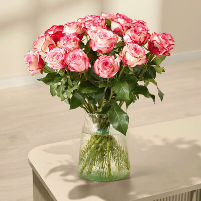 Zweifarbige Rosen 'Paloma'  von Blume2000.de auf blumen.de