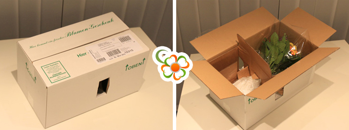 Verpackung des Straußes von 123Blumenversand.de