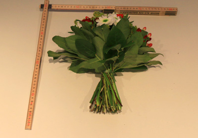 Optik des Straußes von Blume 2000