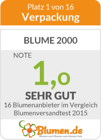 Verpackung von Blume 2000