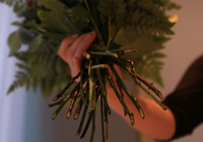 Frische des Strau&szlig;es von Bluvesa