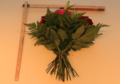 Optik des Strau&szlig;es von Blume 2000