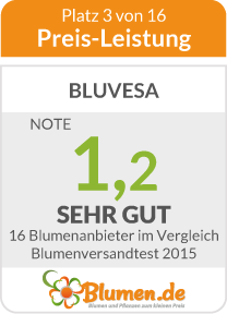 Preis-Leistung von Bluvesa
