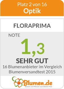 Optik des Straußes von FloraPrima