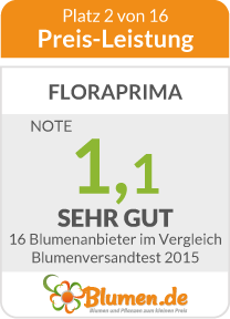 Preis/Leistung des Straußes von FloraPrima