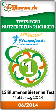nutzerfreundlichkeit blumen.de