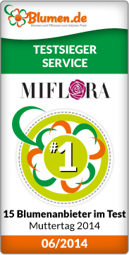 service miflora