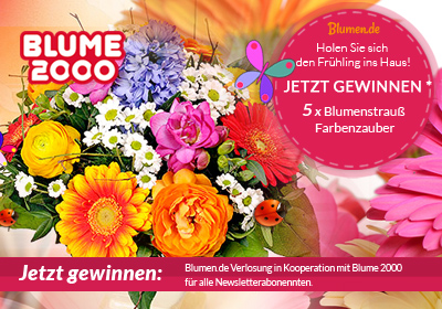 VERLOSUNG - Fünf Blumensträuße „Farbenzauber“