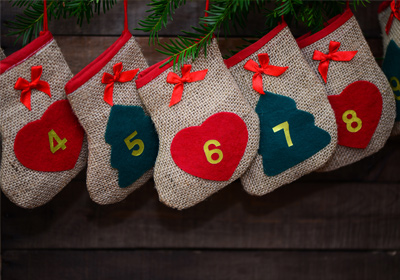 DIY - Adventskalender für Pflanzenfreunde 