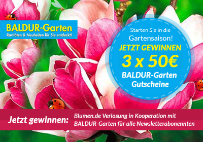 Verlosung – 3 x 50 Euro Gutschein BALDUR-Garten