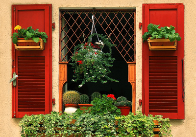 Herbstbepflanzung für Balkon und Terrasse