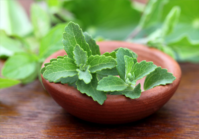 Stevia