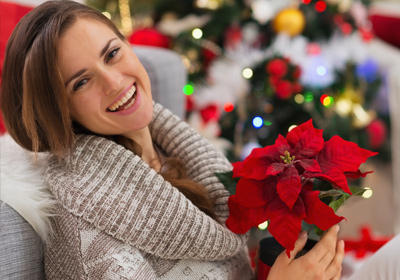 Blumen zu Weihnachten verschenken