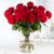 20 -100 Rote Premium-Rosen  von Flowers-deluxe auf blumen.de
