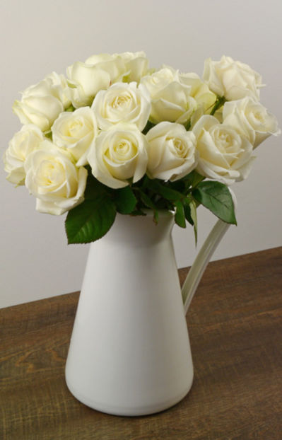 20 weiße Avalanche Rosen von Duftgemüse auf blumen.de