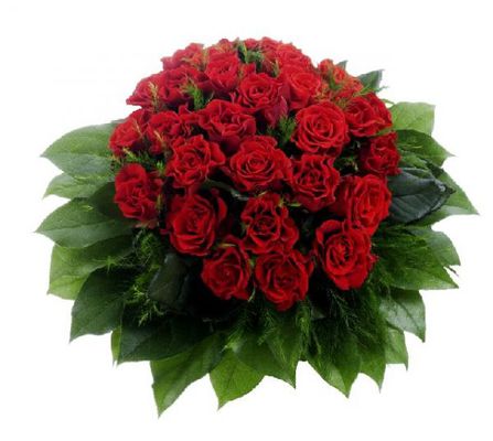 24 rote Rosen von Flowers-deluxe auf blumen.de