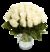30 weiße Rosen von Blume Ideal auf blumen.de