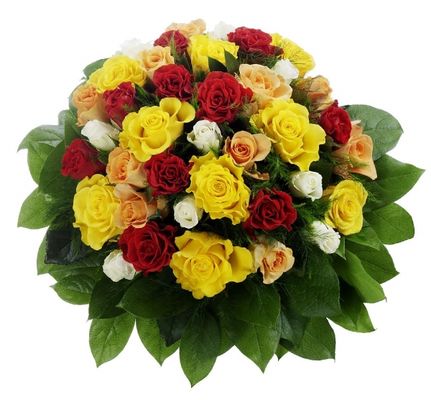 36 bunte Rosen von Flowers-deluxe auf blumen.de