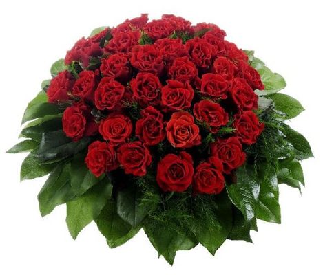 36 luxuriöse Rosen von Flowers-deluxe auf blumen.de
