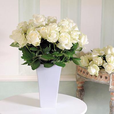 40 weiße Rosen von Blume2000.de auf blumen.de