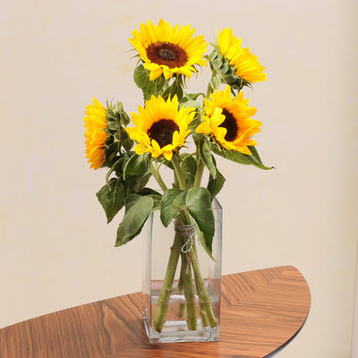 5 herrlich gelbe Sonnenblumen von Blume2000.de auf blumen.de