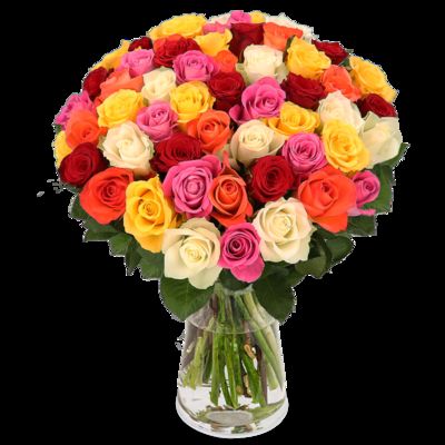 50 bunte Rosen XXL von Blume Ideal auf blumen.de