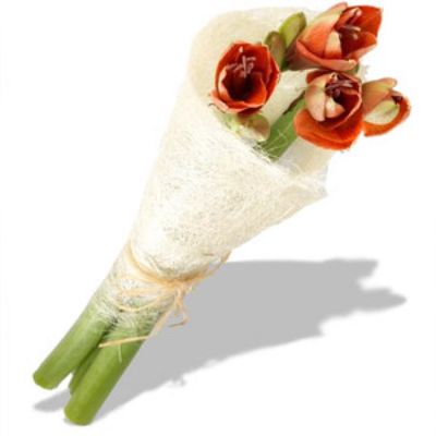 Amaryllis pur von Florito FlowerPost auf blumen.de