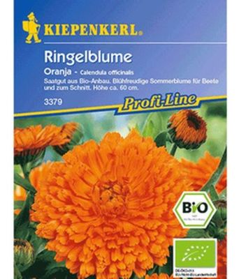 BIO-Ringelblume ´Oranja´ von BALDUR-Garten auf blumen.de