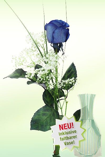 Blaue Rose von Rosenbote.de auf blumen.de
