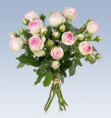 Blumenstrauß Romantik von Lidl Blumen auf blumen.de