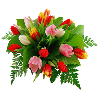 Blumenstrauß Tulpengruß von Bluvesa auf blumen.de