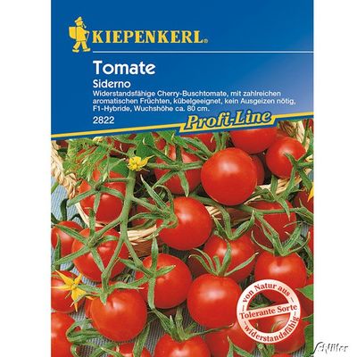 Cherry-Busch-Tomate `Siderno F 1´ von Garten Schlüter auf blumen.de