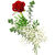 Einzelne rote Rose von Bluvesa auf blumen.de