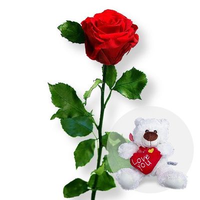 Haltbare Rose rot  von Valentins auf blumen.de