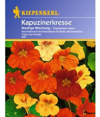 Kapuzinerkresse ´Niedriger Mix´ von BALDUR-Garten auf blumen.de