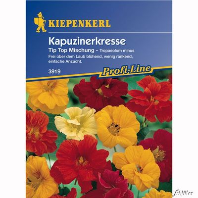 Kapuzinerkresse ´Tip Top Mischung´ von Garten Schlüter auf blumen.de