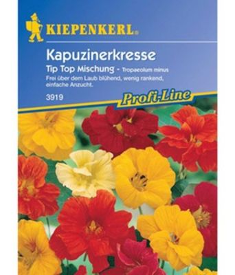 Kapuzinerkresse ´Tip Top Mix´ von BALDUR-Garten auf blumen.de