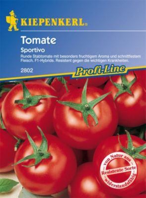 Kiepenkerl Tomaten Sportivo von GartenXXL auf blumen.de