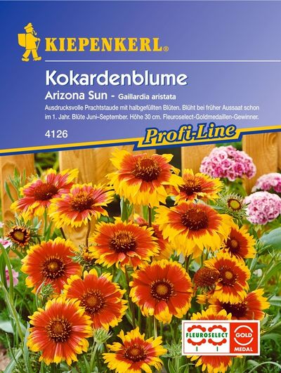 Kokardenblume Gaillardia Arizona Sun von TOM-GARTEN auf blumen.de