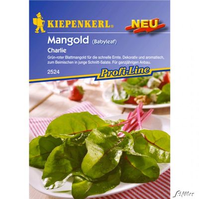 Mangold ´Charlie´ von Garten Schlüter auf blumen.de